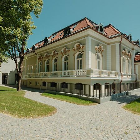 Boutique Hotel Cocosul De Aur Târgu-Mureş Eksteriør bilde